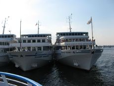 167 Flusskreuzfahrtschiffe.JPG
